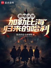 霍格沃茨:加勒比海归来的哈利